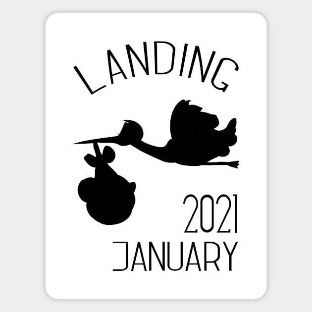 Stork landing 2021 Magnet by Die Designwerkstatt